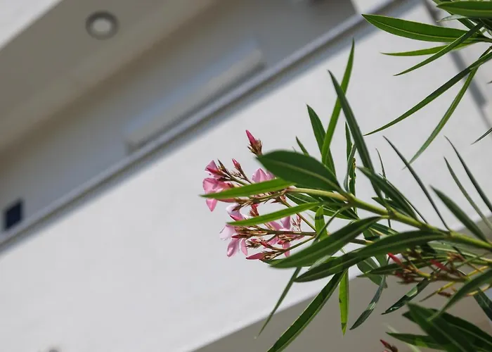 Apartamento Karmen Šilo